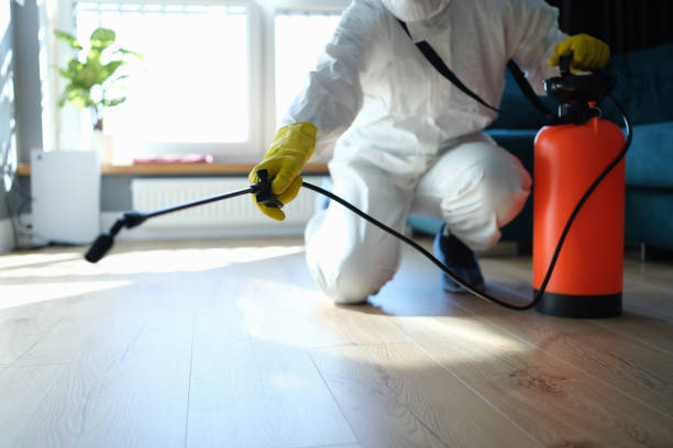 Trusted Sewage Cleanup service in Bushnell, FL - Four Month Blood Cleanse